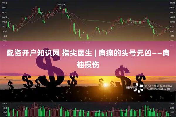 配资开户知识网 指尖医生 | 肩痛的头号元凶——肩袖损伤