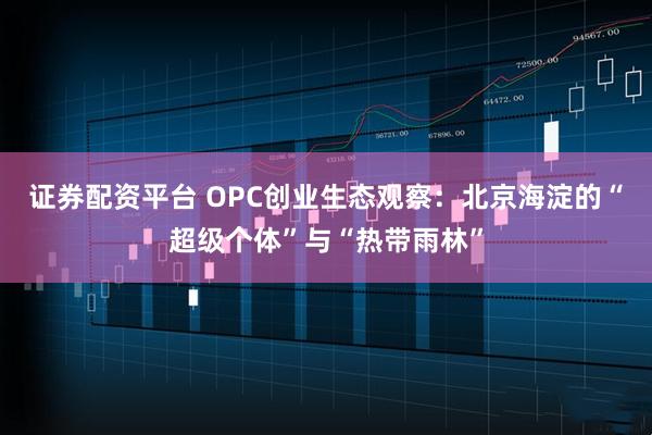 证券配资平台 OPC创业生态观察：北京海淀的“超级个体”与“热带雨林”